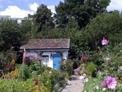 Dateiname : DSCN0740.JPGDateigröße : 719.1 KB (736308 Byte)Aufnahmedatum : 2007/07/18 11:13:40Bildgröße : 2048 x 1536 PixelAuflösung : 300 x 300 dpiFarbtiefe : 8 Bit/KanalSchützen : AusAusblenden : AusKamera-ID : N/AKamera : E995Qualitätsmodus : NORMALMessmethode : MehrfeldBelichtungsbetriebsart : ProgrammautomatikSpeedlight : NeinBrennweite : 8.2 mmVerschlusszeit : 1/266.2 SekundeBlende : F6.0Belichtungskorrektur : 0 EVFester Weißabgleich : AutomatikObjektiv : IntegriertBlitz-Synchronisierungsmodus : N/ABelichtungsdifferenz : N/AFlexibles Programm : N/AEmpfindlichkeit : AutoSchärfung : AutomatikFarbmodus : FarbeFarbeinstellungen : N/AFarbsättigung : N/AFarbsättigung : 0 NormalTonwertkorrektur : AutomatikBreite (GPS) : N/ALänge (GPS) : N/AHöhe (GPS) : N/A